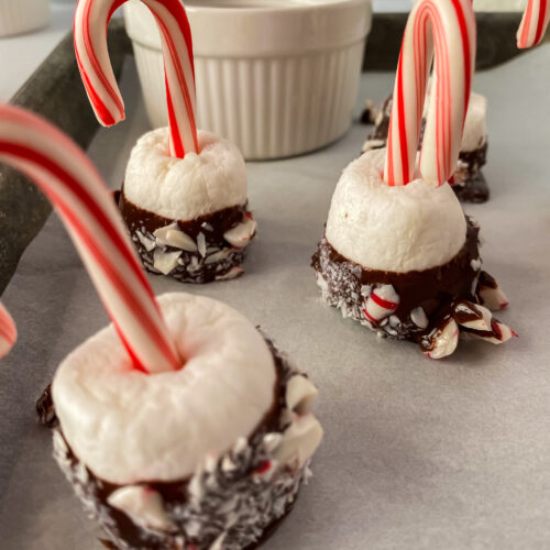 Holiday Peppermint Stirrers