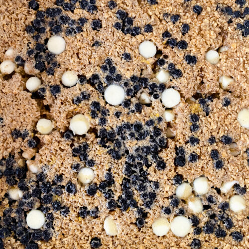 Viral TikTok Baked Oats at www.chefkimihou.com
