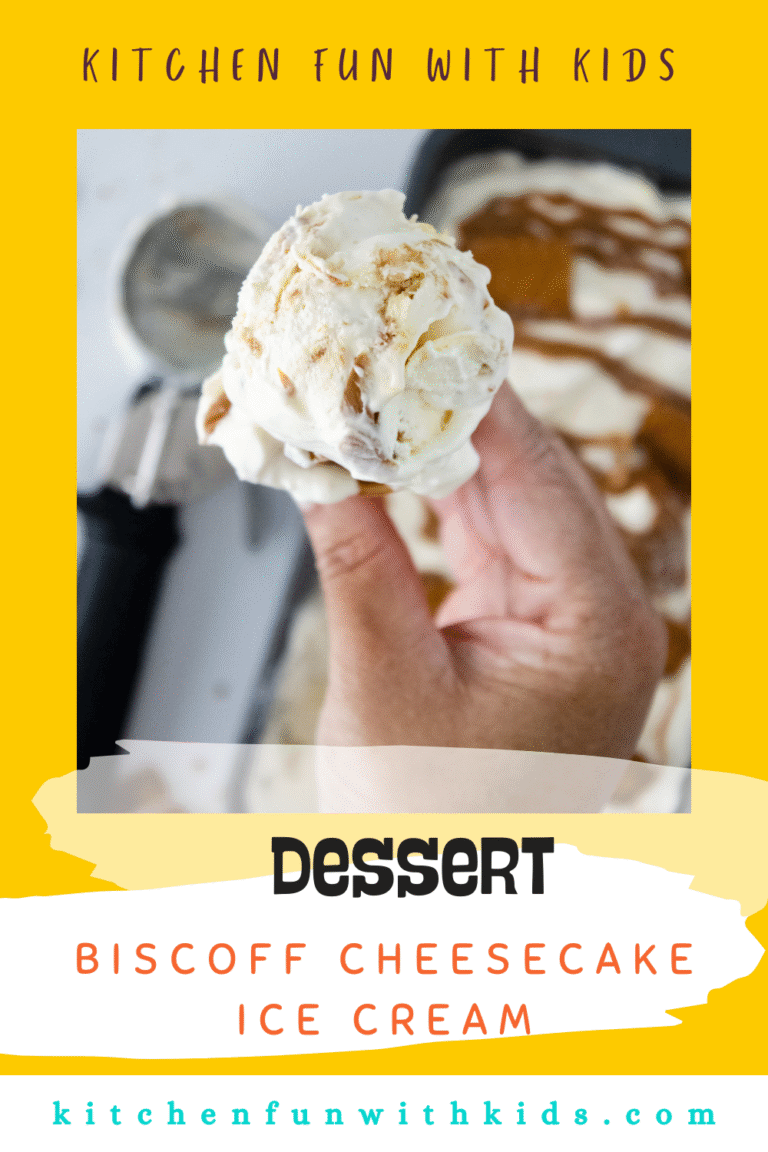 No-Churn Biscoff Cheesecake Ice Cream